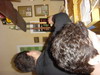 thumb_dsc05886.jpg
